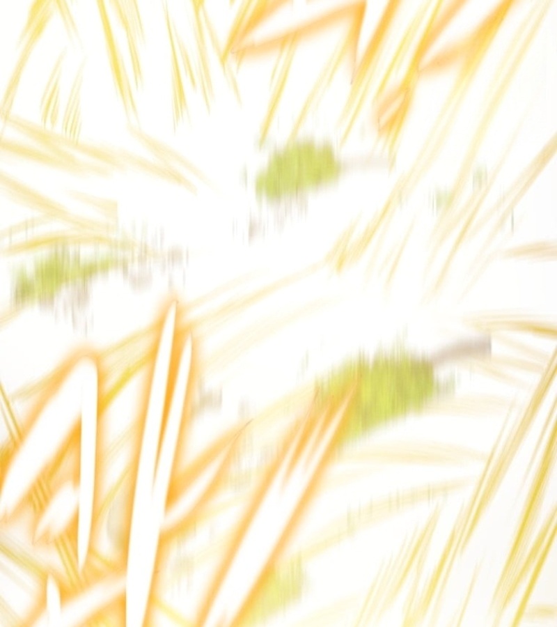 Thiên Quang Minh Nguyệt Chapter 8 - Trang 3