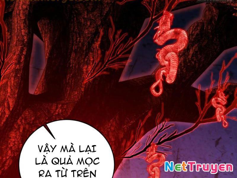 Tôi Thật Không Muốn Làm Học Thần Chapter 38 - Trang 3