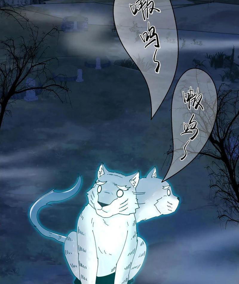 Trước mặt bệnh tâm thần, quỷ dị chẳng là gì cả Chapter 125 - Trang 3