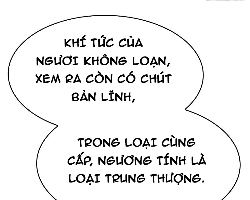 Tu Tiên Trở Về Tại Vườn Trường - Phần 2 Chapter 70 - Trang 2