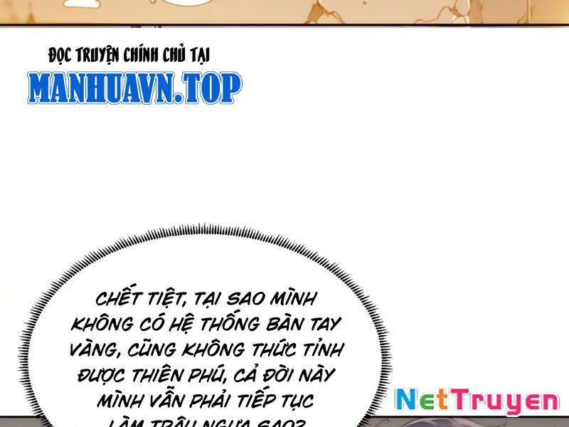 Võ Đạo Tông Sư Trùng Sinh Làm Công Nhân Chapter 1 - Trang 3