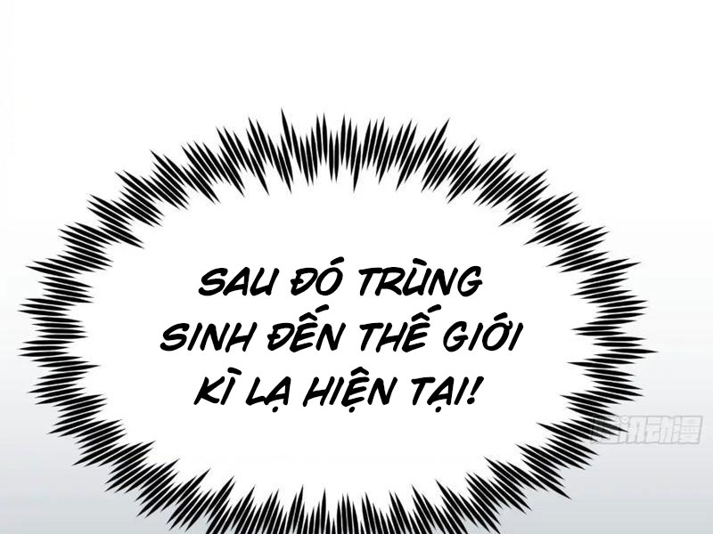 Võ Đạo Tông Sư Trùng Sinh Làm Công Nhân Chapter 1 - Trang 3