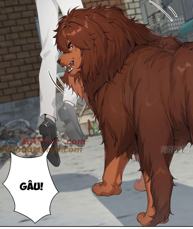 Vô Địch Bắt Đầu Từ Trúc Cơ Chapter 12 - Trang 2