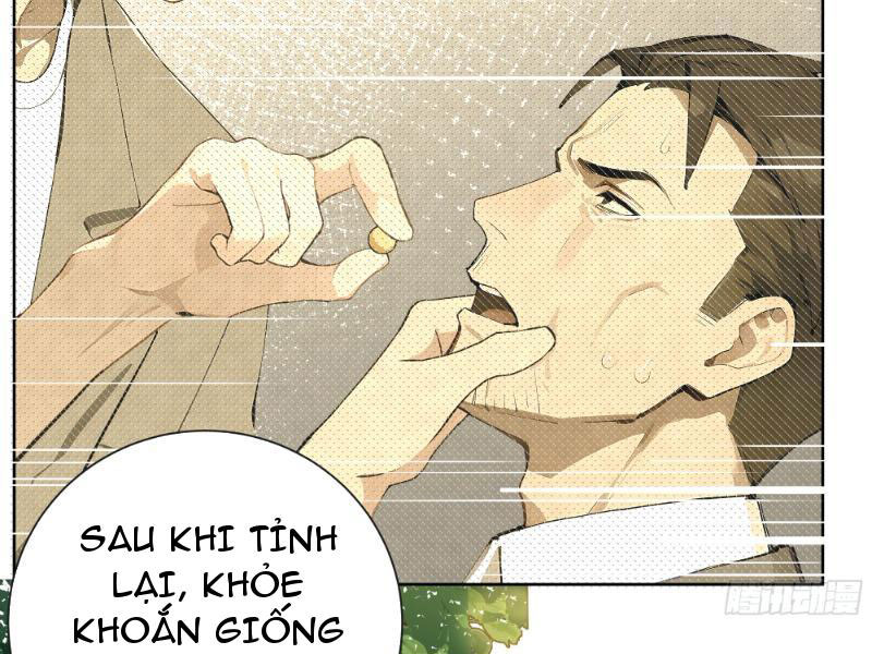 Vô Địch Bắt Đầu Từ Trúc Cơ Chapter 4 - Trang 3
