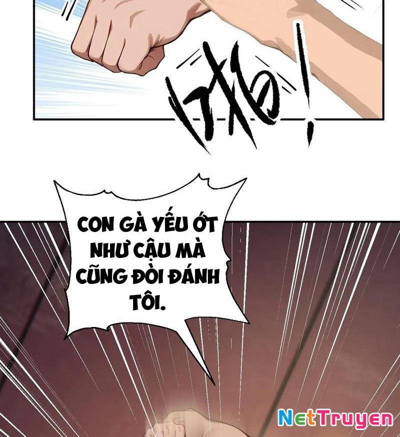 Vô Địch Bắt Đầu Từ Trúc Cơ Chapter 40 - Trang 3