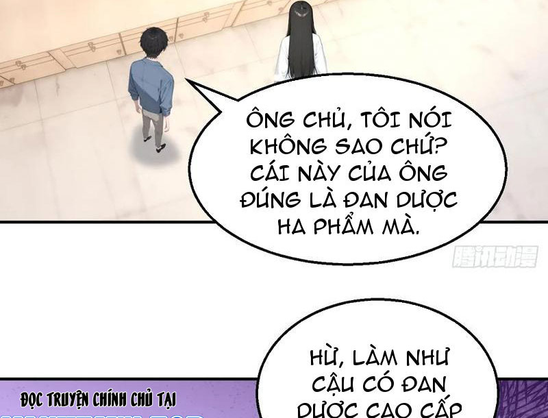 Vô Địch Bắt Đầu Từ Trúc Cơ Chapter 46 - Trang 3