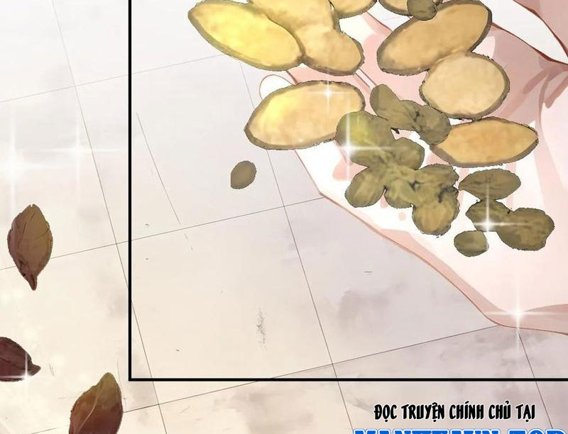 Vô Địch Bắt Đầu Từ Trúc Cơ Chapter 46 - Trang 3