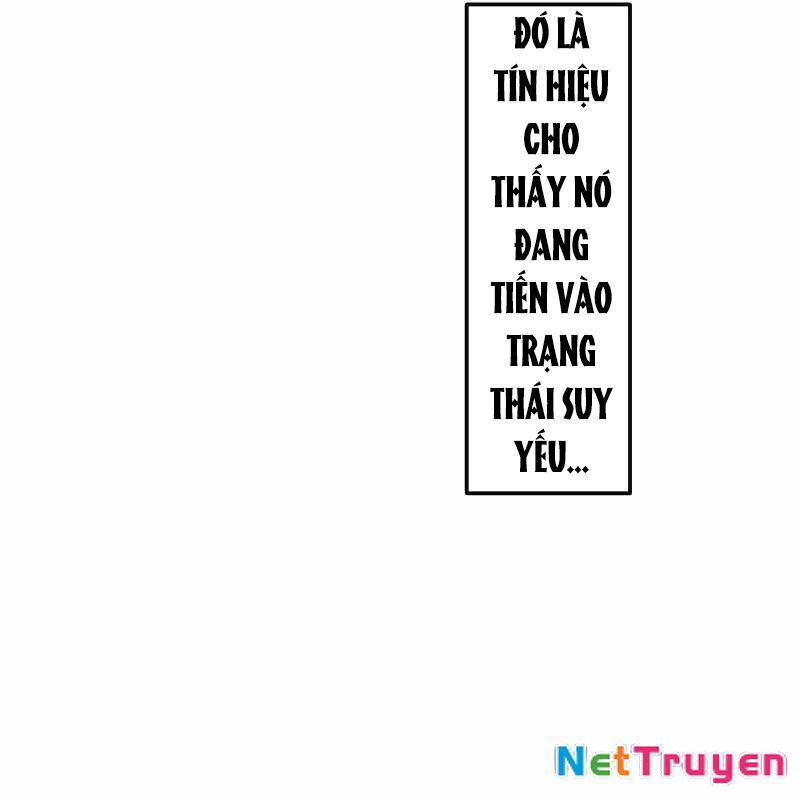 Vô Song Cùng Với Vũ Khí Ẩn Chapter 12 - Trang 3