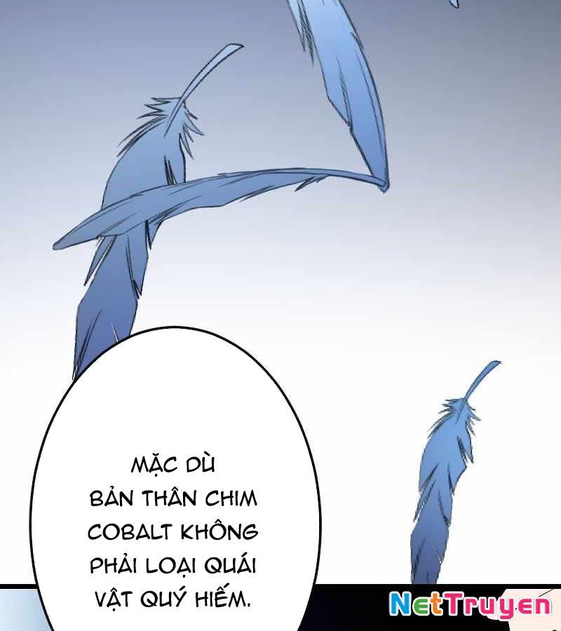 Vô Song Cùng Với Vũ Khí Ẩn Chapter 6 - Trang 3
