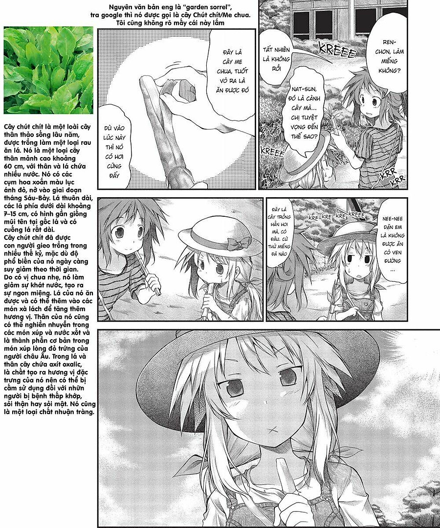 Non Non Biyori Chapter 14 - Next Chapter 15