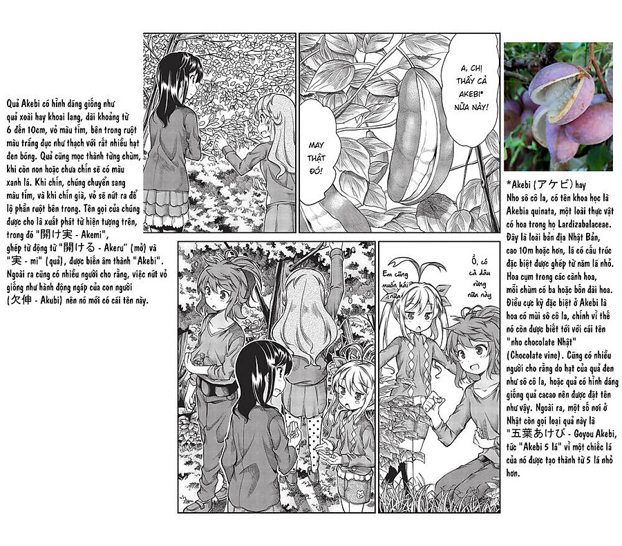 Non Non Biyori Chapter 60 - Next Chapter 61