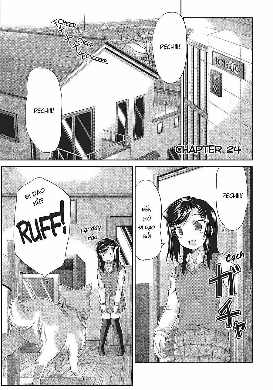 Non Non Biyori Chapter 24 - Next Chapter 25