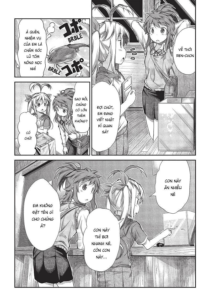 Non Non Biyori Chapter 43 - Next Chapter 44