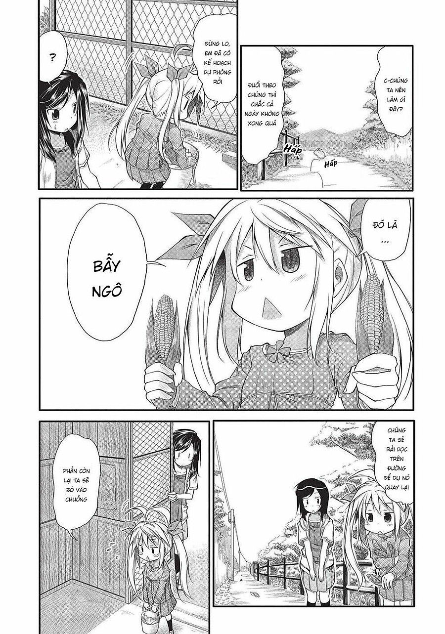 Non Non Biyori Chapter 4 - Next Chapter 5