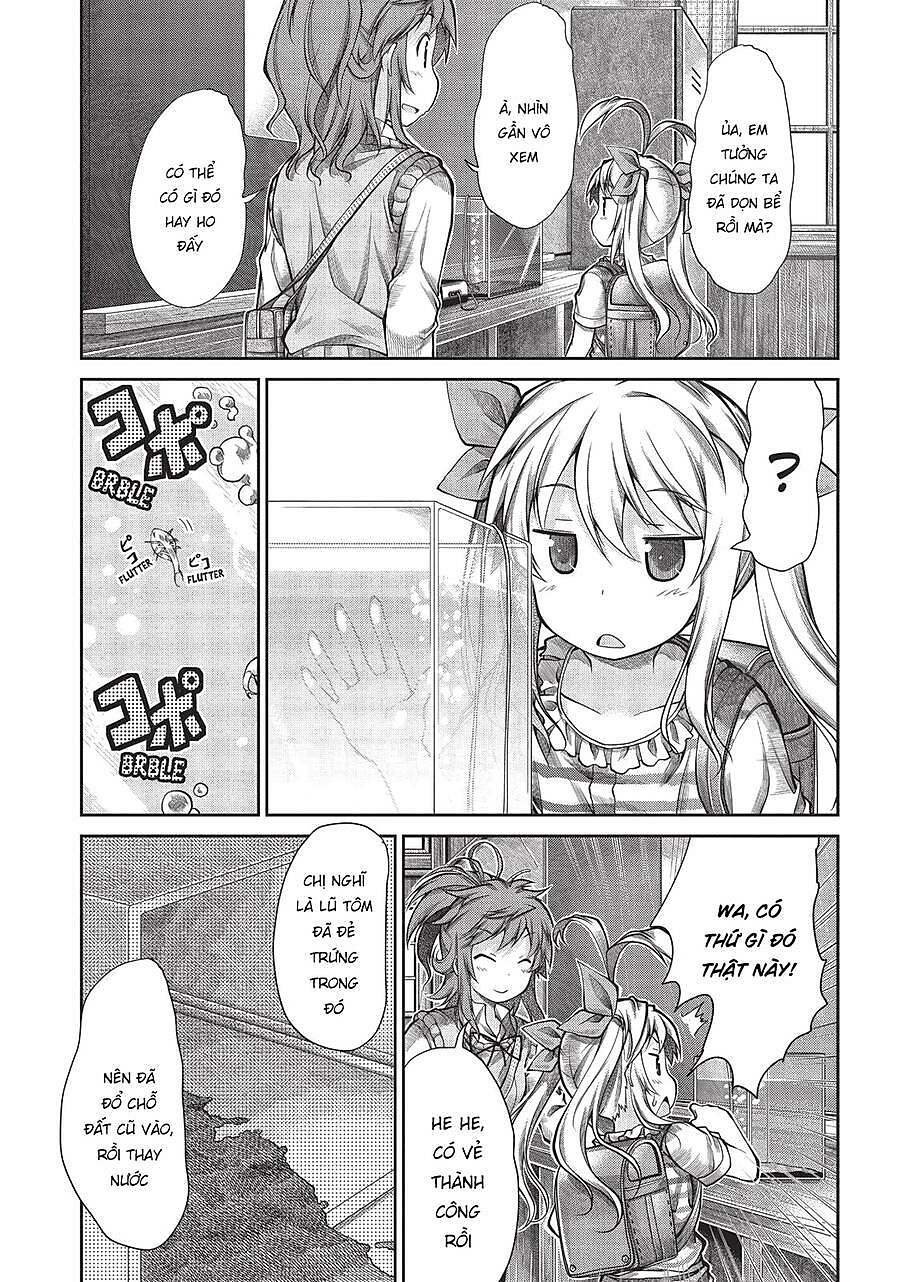 Non Non Biyori Chapter 43 - Next Chapter 44