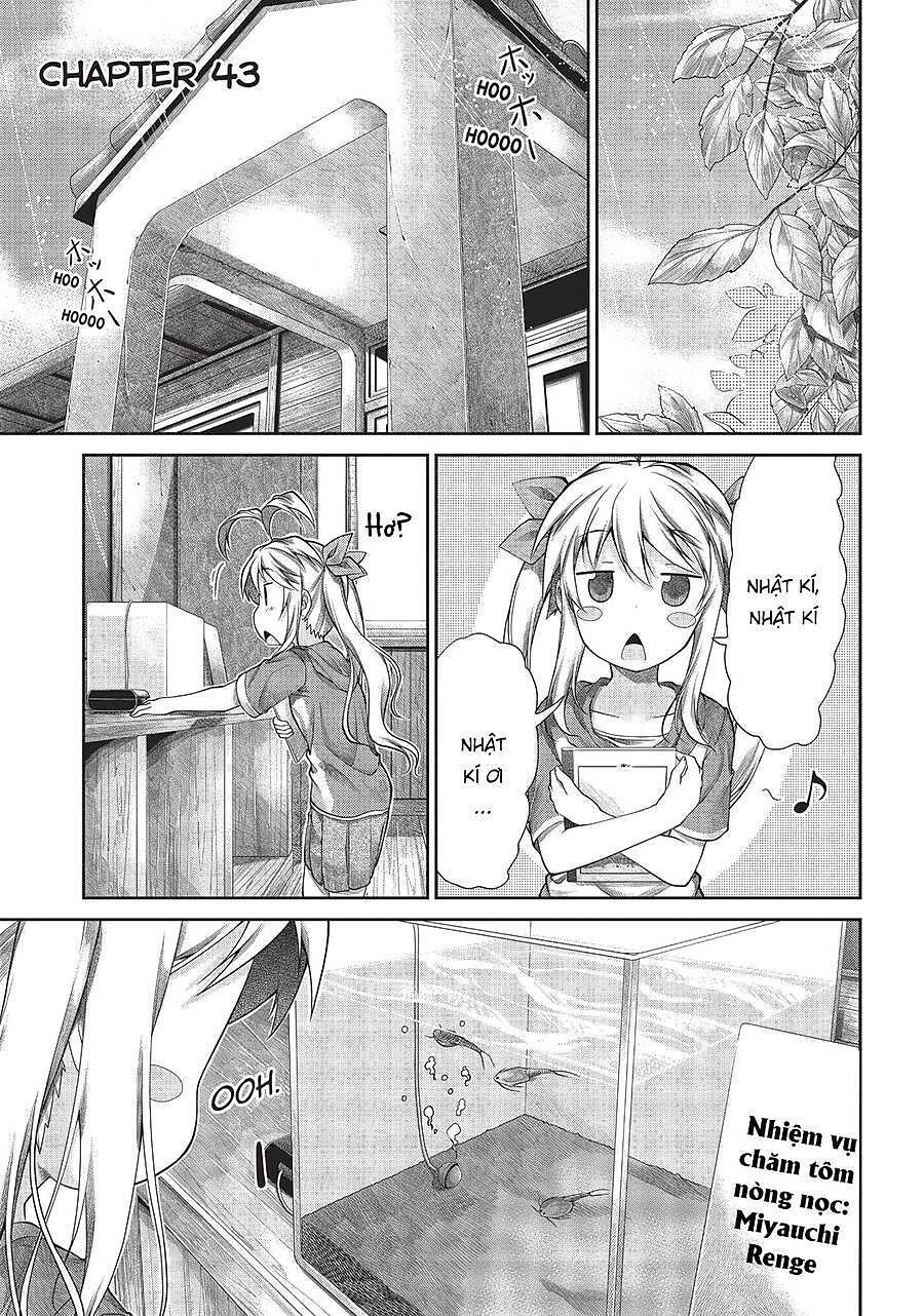 Non Non Biyori Chapter 43 - Next Chapter 44