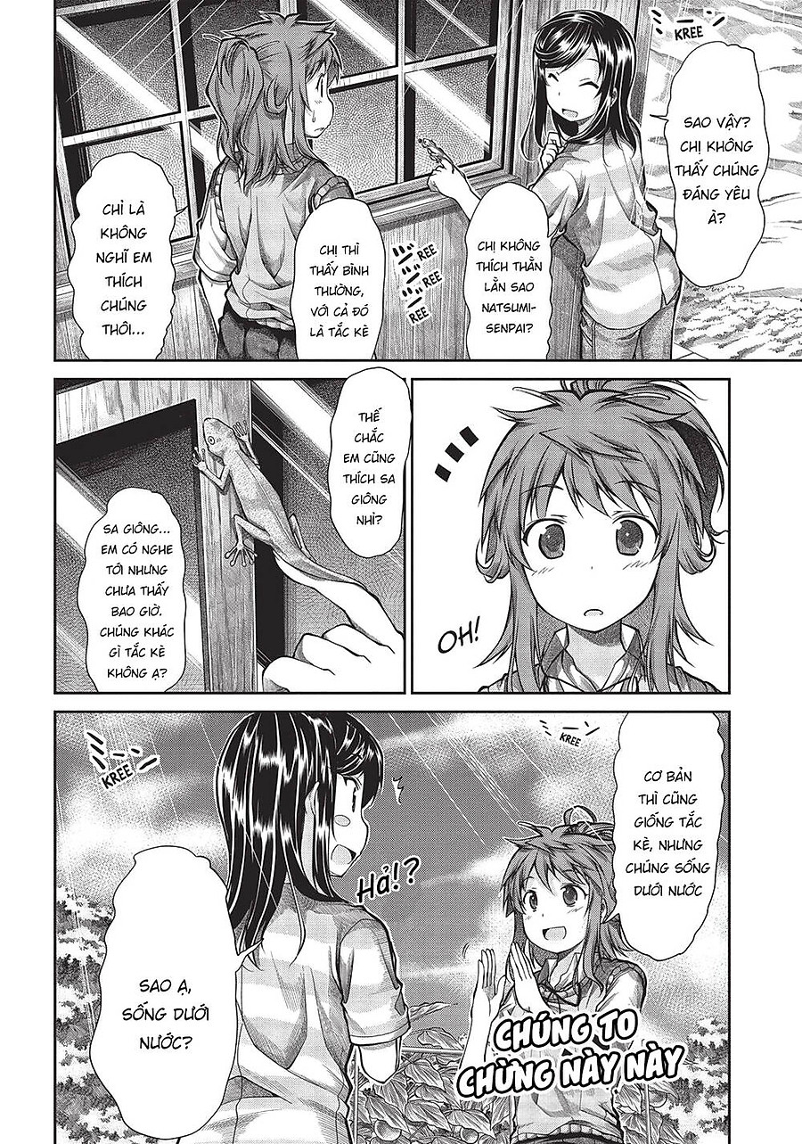 Non Non Biyori Chapter 44 - Next Chapter 45