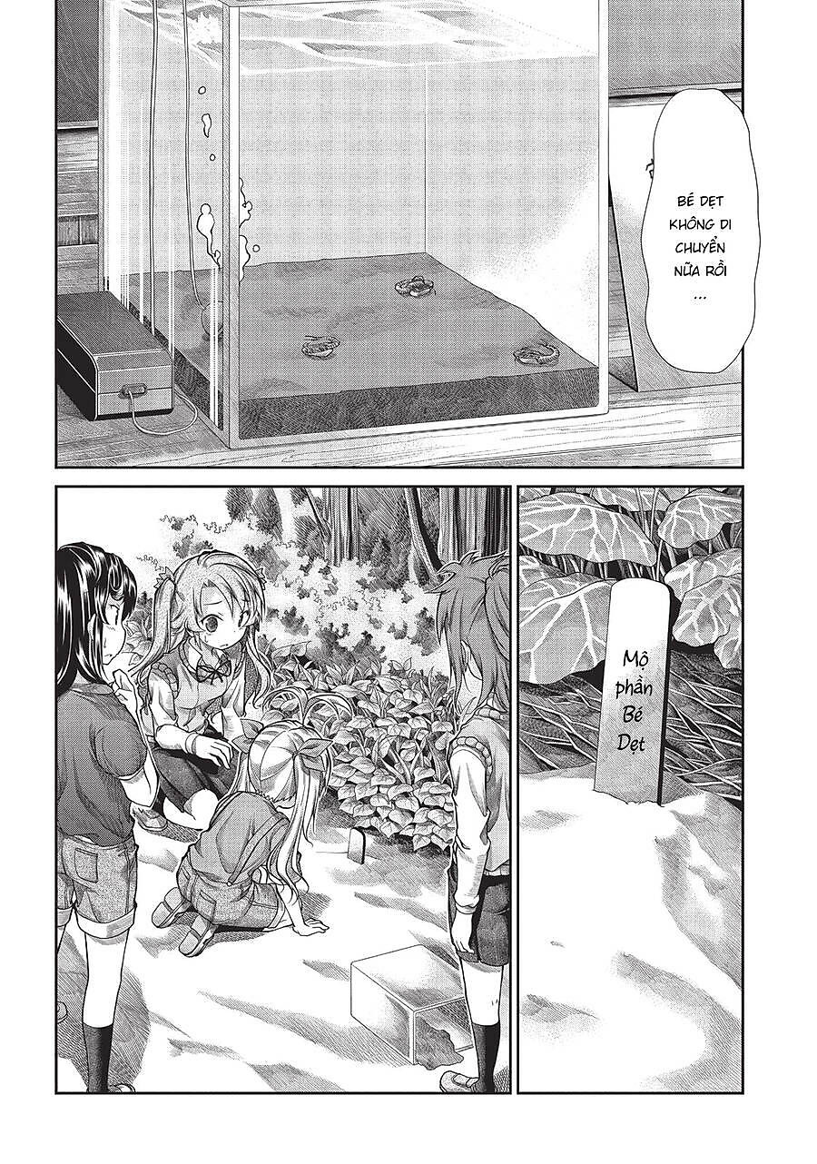 Non Non Biyori Chapter 43 - Next Chapter 44