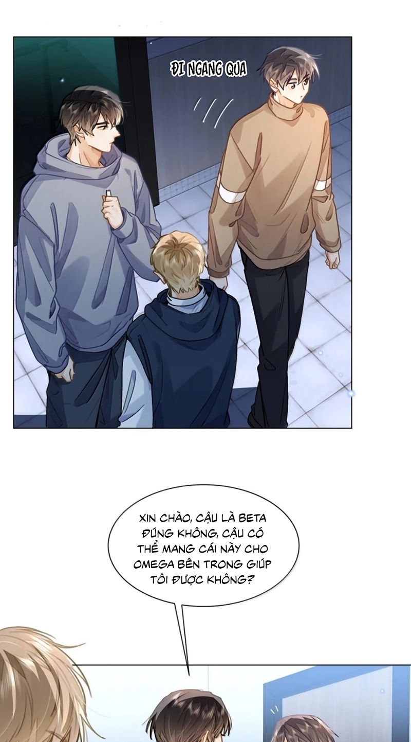 Tôi Thích Tin Tức Tố Của Cậu Chap 91 - Trang 4