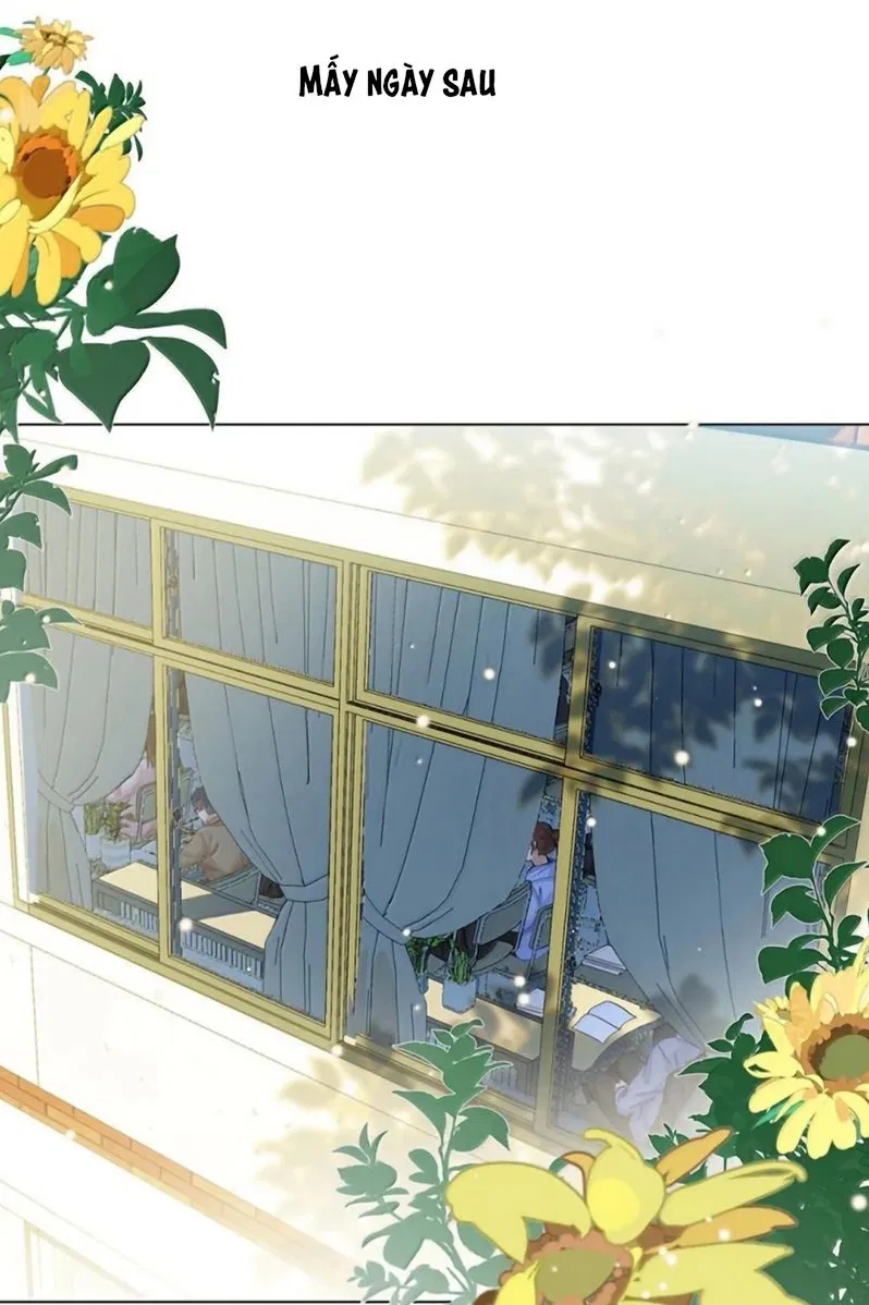 Tôi Thích Tin Tức Tố Của Cậu Chapter 93 - Trang 2