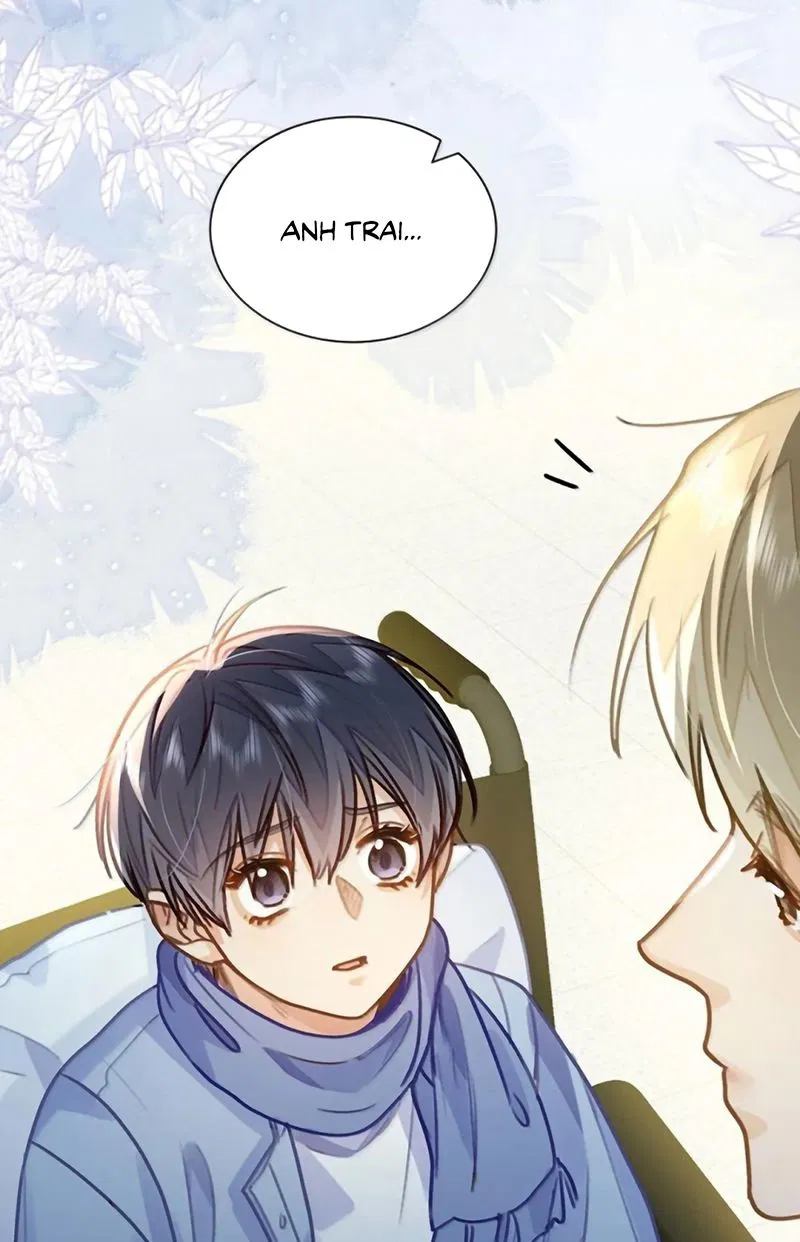 Tôi Thích Tin Tức Tố Của Cậu Chapter 93 - Trang 2