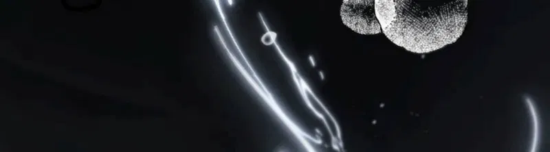 Dựa Vào Bạn Thân Từ Nhỏ Tôi Trở Thành Đỉnh Cấp Hướng Đạo Chapter 60 - Trang 2