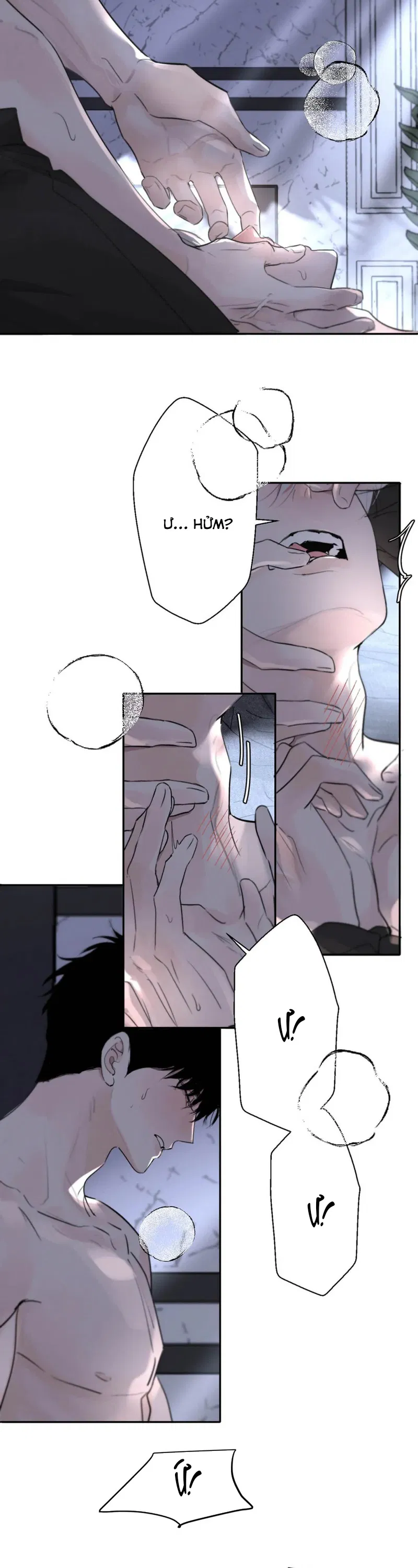 Tôi Trở Thành Hướng Đạo Sư Hàng Đầu Nhờ Trúc Mã Chapter 56 - Next 