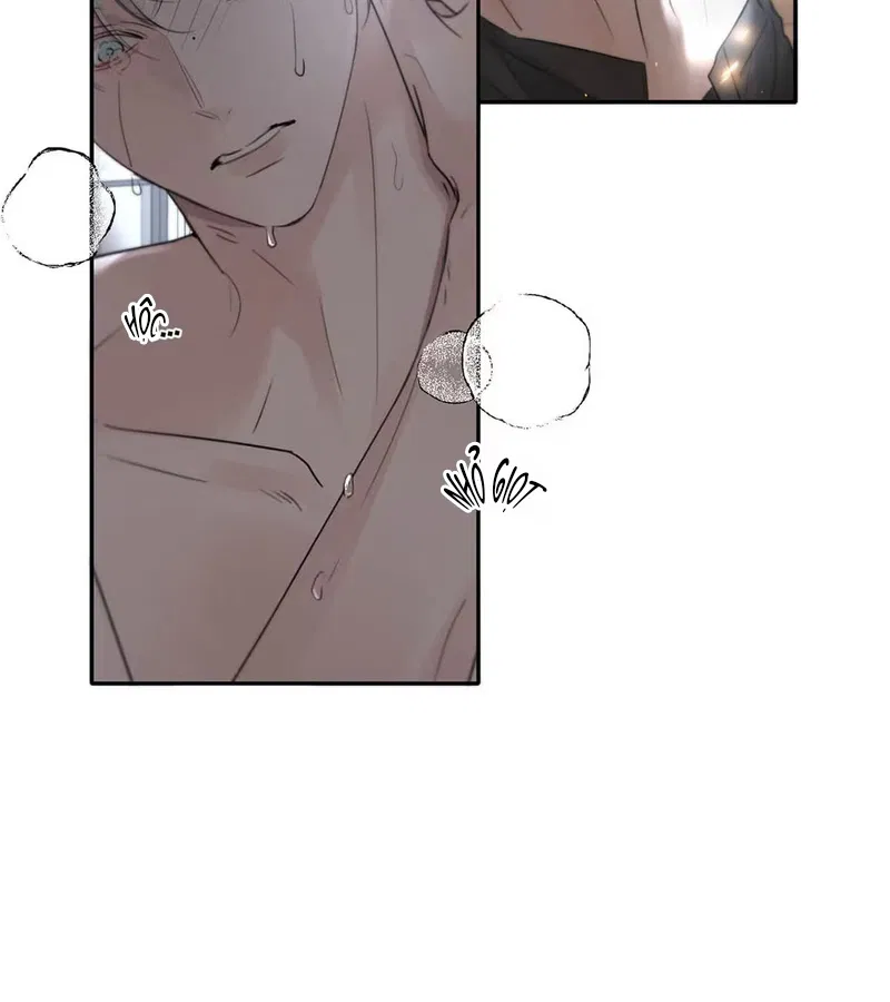 Tôi Trở Thành Hướng Đạo Sư Hàng Đầu Nhờ Trúc Mã Chapter 57 - Trang 2