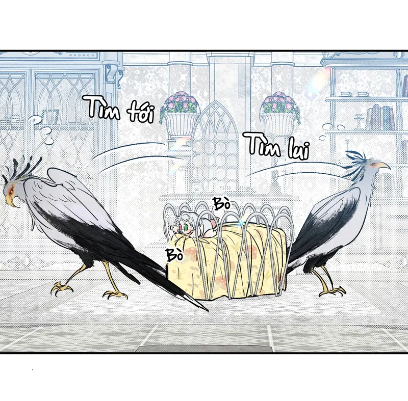 BẤT QUY TẮC PHIÊN NGOẠI 56 - Trang 2