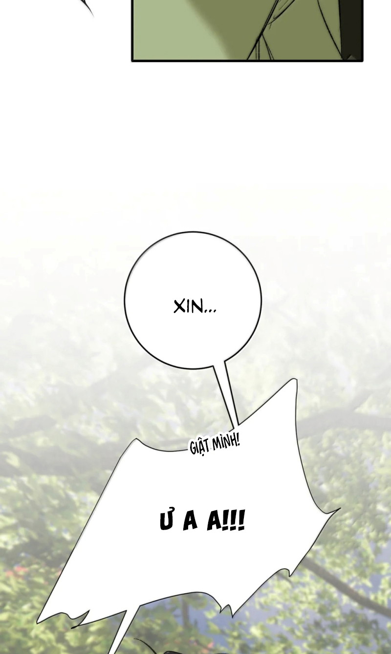 Mỗi Ngày Đều Muốn Làm Bệnh Kiều Vương Tử Xấu Hổ Tới Độn Thổ Chapter 43 - Trang 2