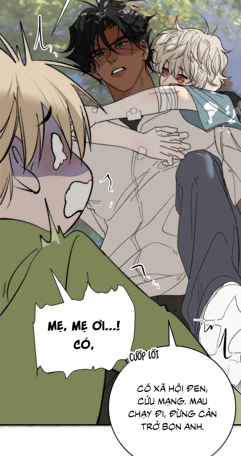 Mỗi Ngày Đều Muốn Làm Bệnh Kiều Vương Tử Xấu Hổ Tới Độn Thổ Chapter 43 - Trang 2