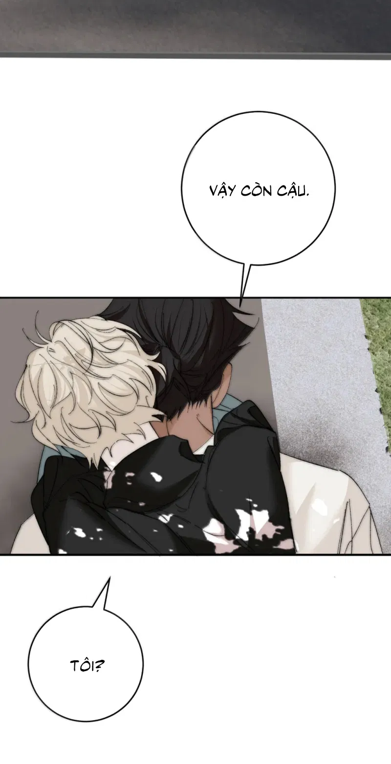 Mỗi Ngày Đều Muốn Làm Bệnh Kiều Vương Tử Xấu Hổ Tới Độn Thổ Chapter 43 - Trang 2