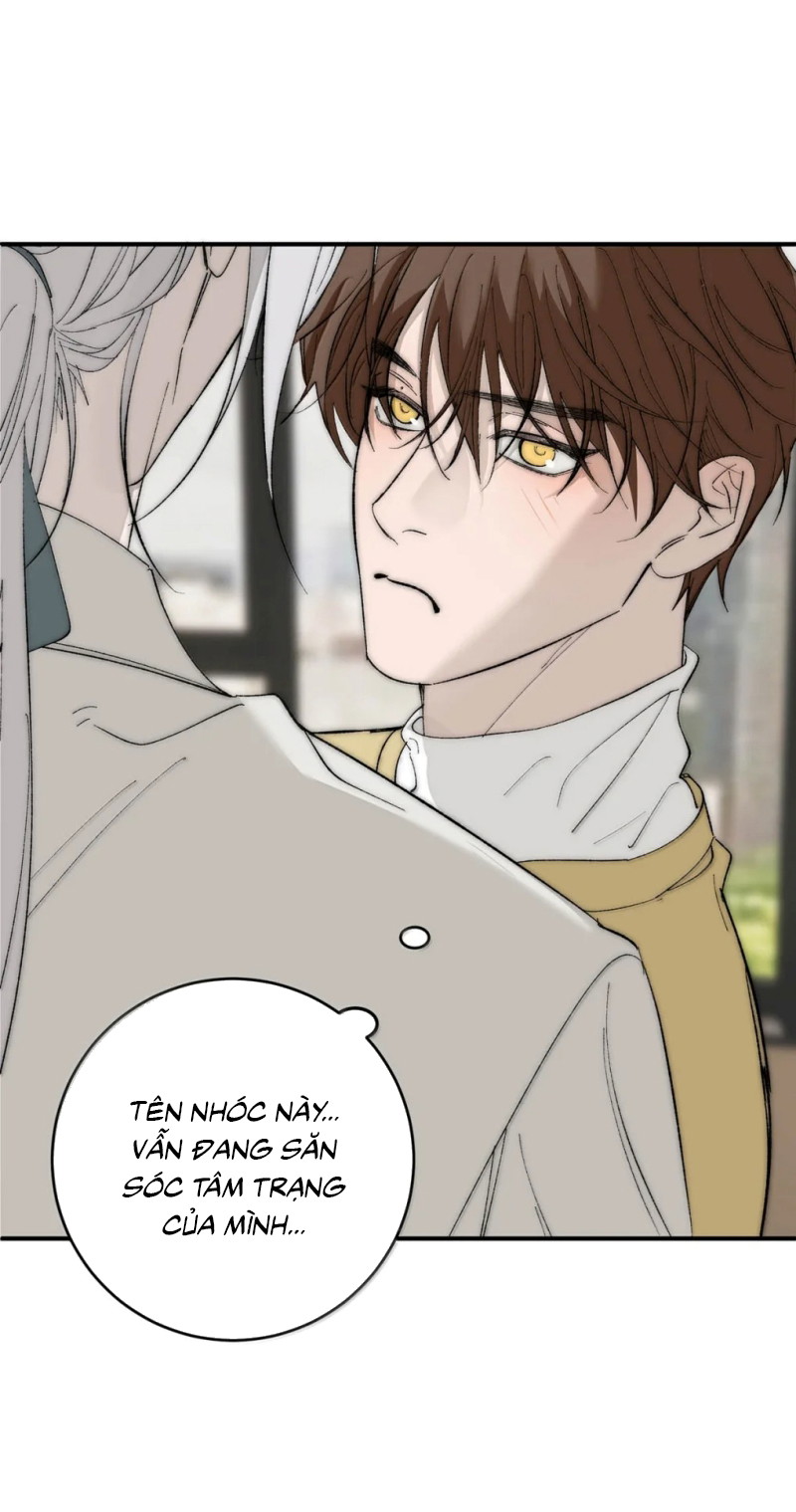 Mỗi Ngày Đều Muốn Làm Bệnh Kiều Vương Tử Xấu Hổ Tới Độn Thổ Chapter 43 - Trang 2