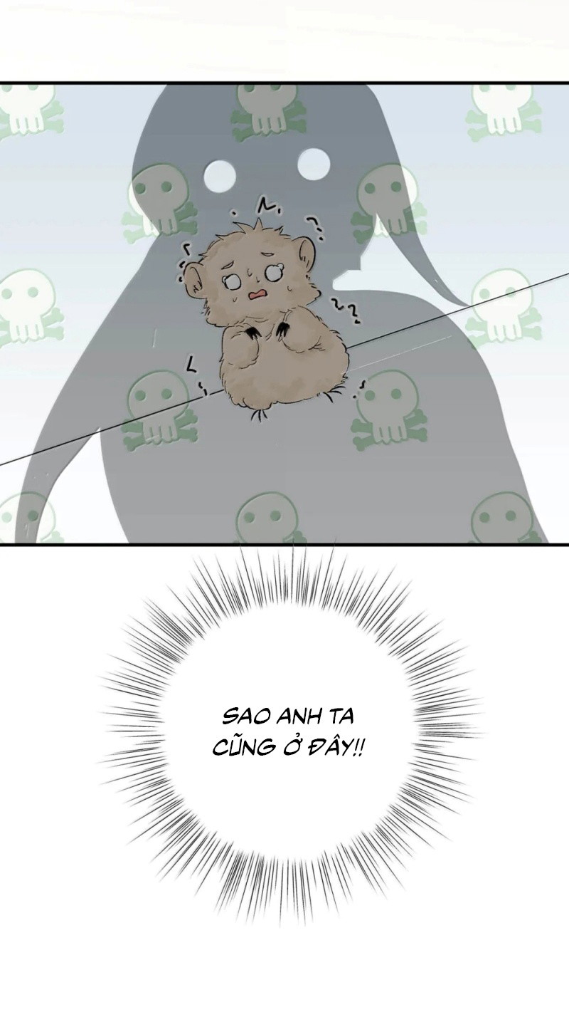 Mỗi Ngày Đều Muốn Làm Bệnh Kiều Vương Tử Xấu Hổ Tới Độn Thổ Chapter 43 - Trang 2