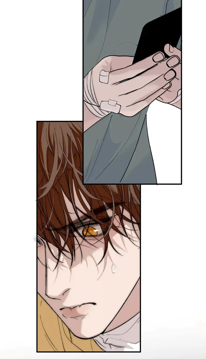 Mỗi Ngày Đều Muốn Làm Bệnh Kiều Vương Tử Xấu Hổ Tới Độn Thổ Chapter 44 - Trang 2