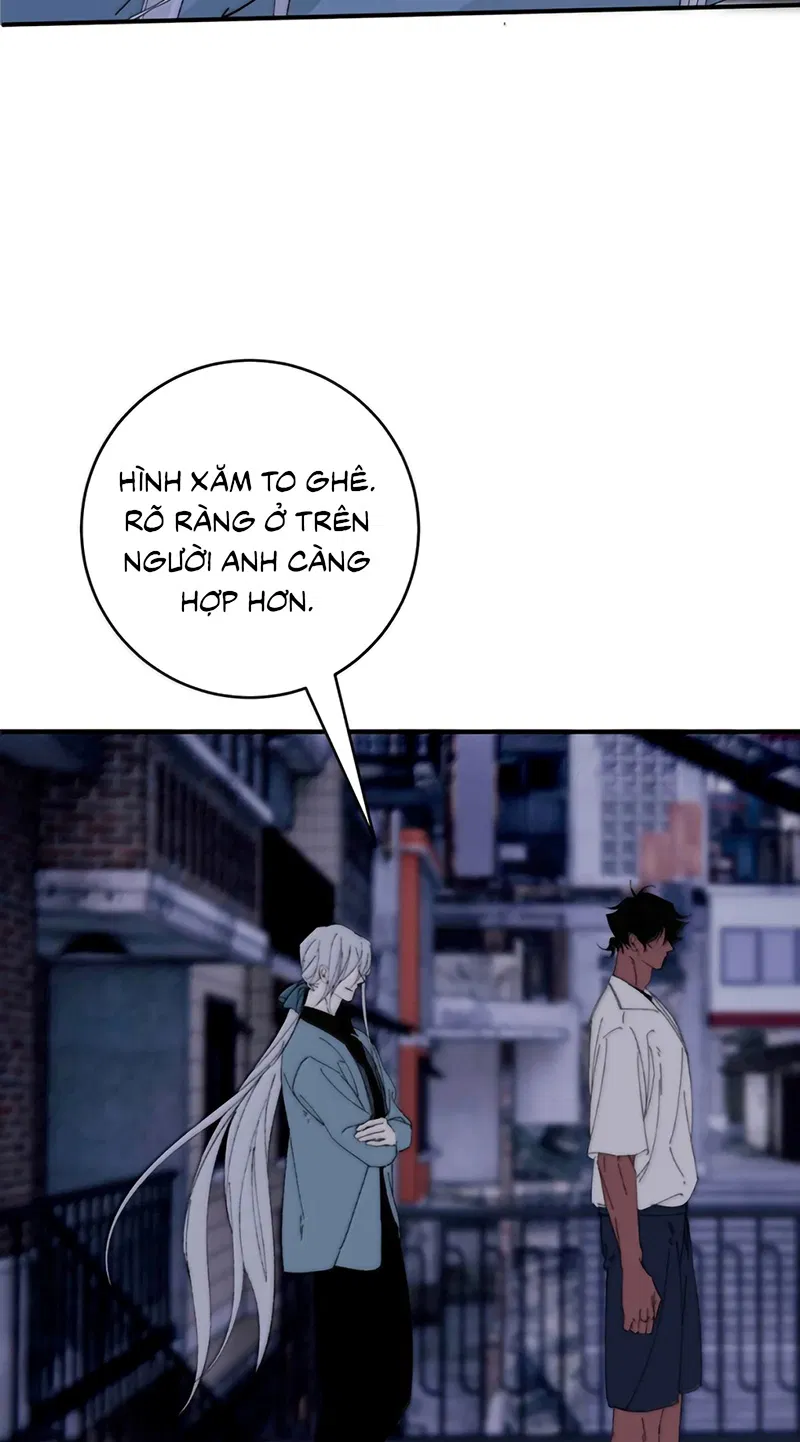 Mỗi Ngày Đều Muốn Làm Bệnh Kiều Vương Tử Xấu Hổ Tới Độn Thổ Chapter 44 - Trang 2