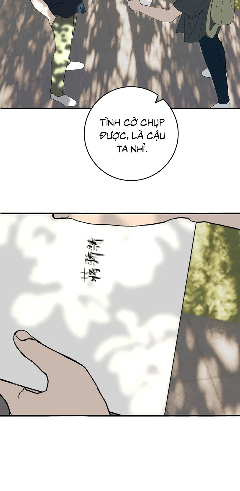 Mỗi Ngày Đều Muốn Làm Bệnh Kiều Vương Tử Xấu Hổ Tới Độn Thổ Chapter 45 - Trang 2