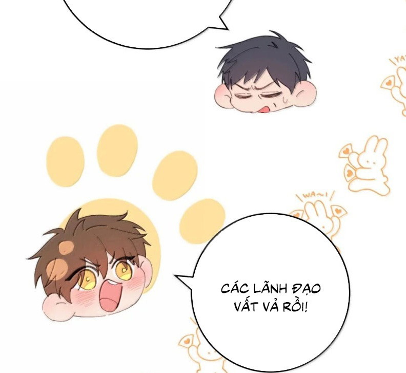 Mỗi Ngày Đều Muốn Làm Bệnh Kiều Vương Tử Xấu Hổ Tới Độn Thổ Chapter 47 - Trang 2