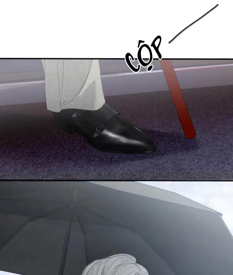 Mỗi Ngày Đều Muốn Làm Bệnh Kiều Vương Tử Xấu Hổ Tới Độn Thổ Chapter 48 - Trang 2