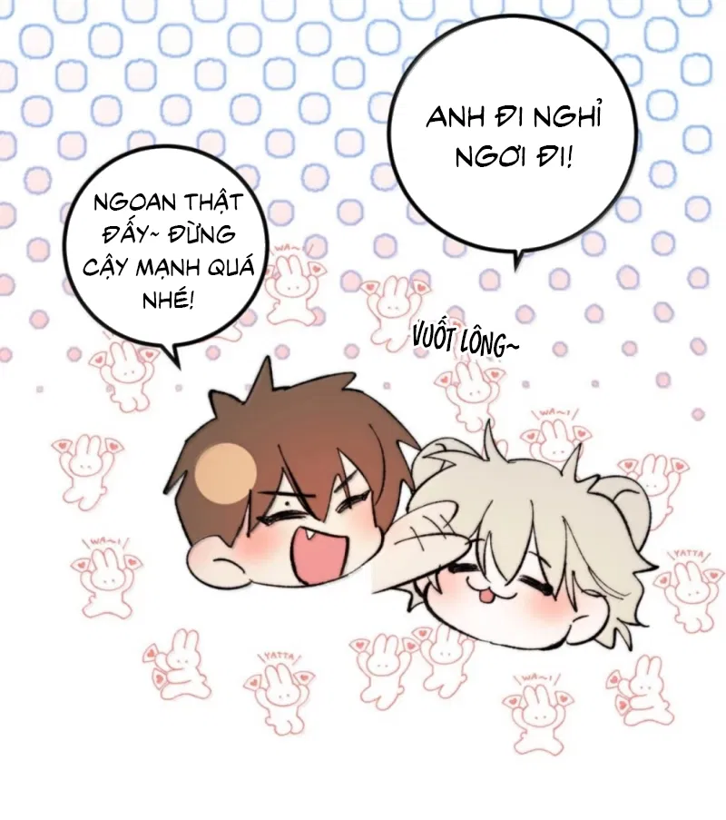 Mỗi Ngày Đều Muốn Làm Bệnh Kiều Vương Tử Xấu Hổ Tới Độn Thổ Chapter 48 - Trang 2