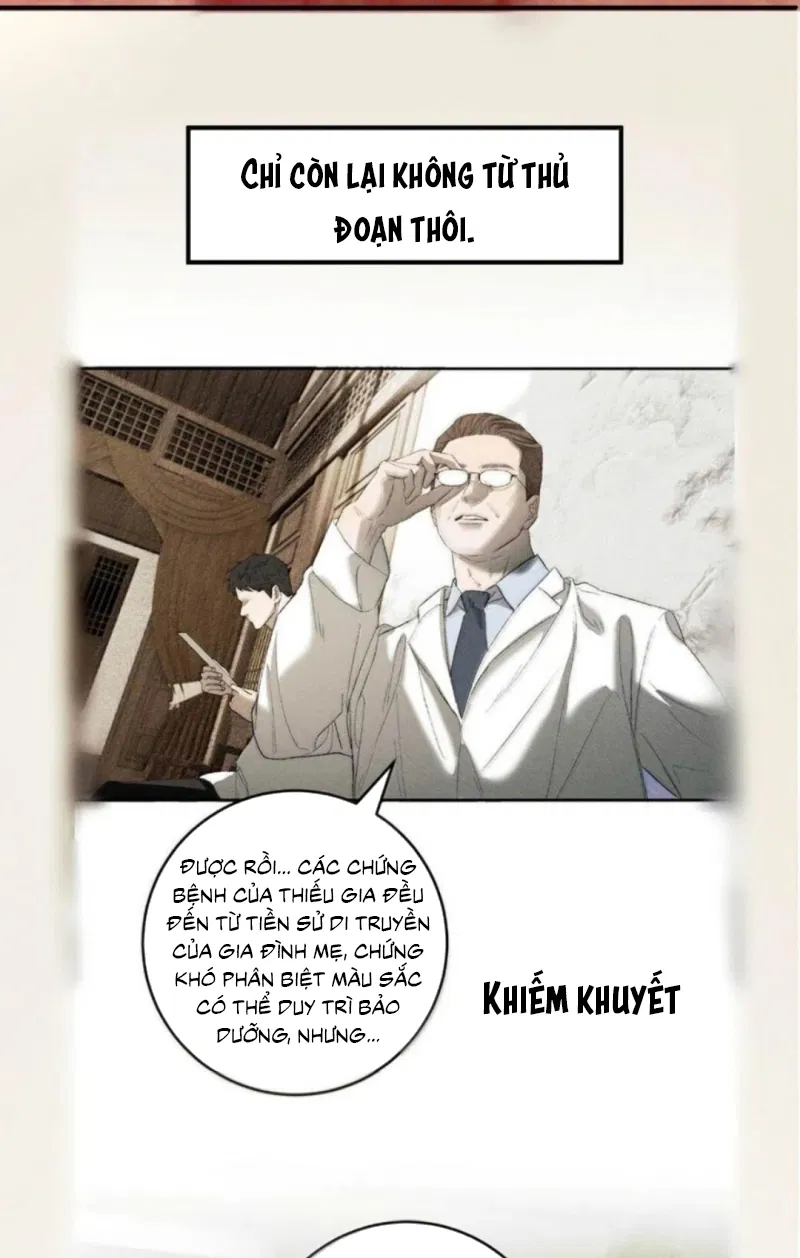 Mỗi Ngày Đều Muốn Làm Bệnh Kiều Vương Tử Xấu Hổ Tới Độn Thổ Chapter 48 - Trang 2