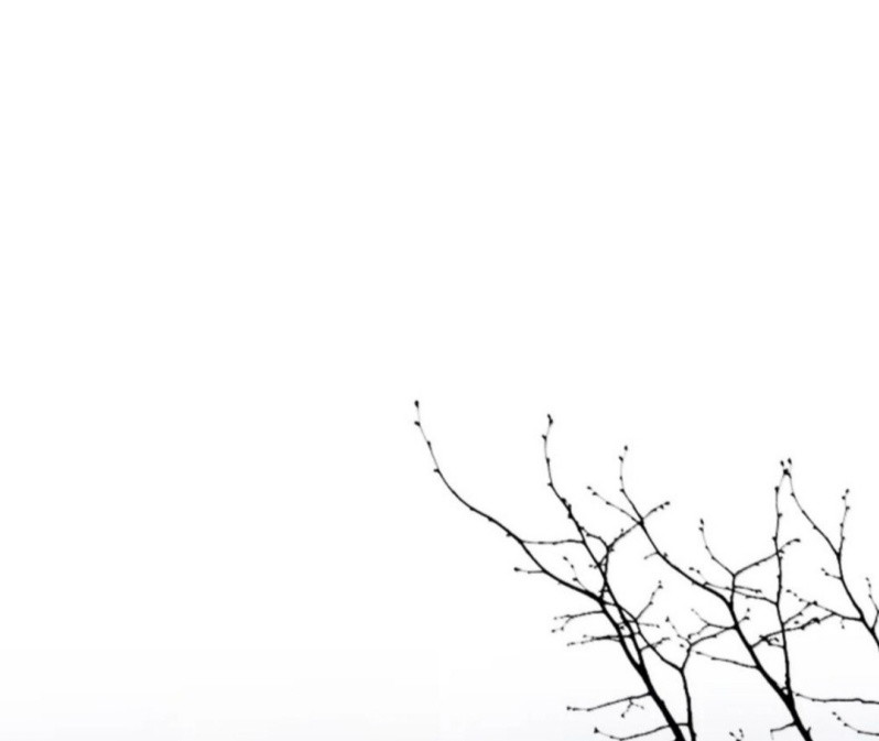 Sắc Thu Nơi Nghĩa Trang Chapter 43 - Trang 2