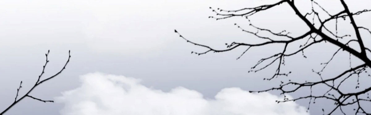 Sắc Thu Nơi Nghĩa Trang Chapter 43 - Trang 2