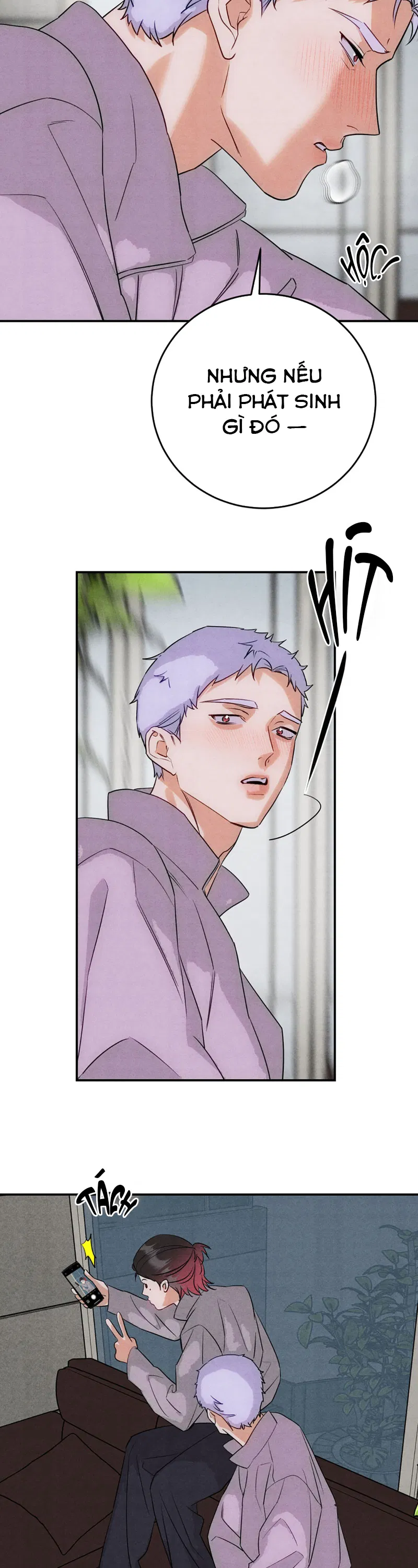 Xuyên Không Thành Con Ngỗng Vàng Của Lão Đại Alpha Chapter 39 - Trang 2