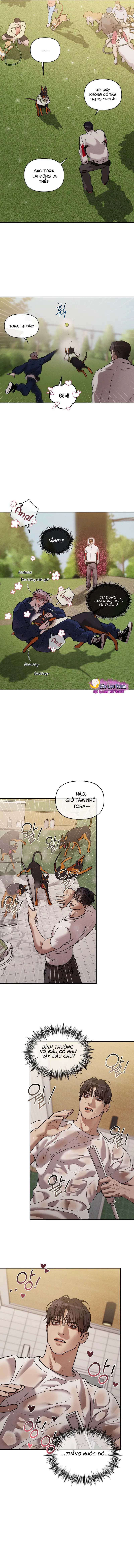 Thiếu Niên Sò: Khi Bình Minh Rực Cháy Chapter 29 - Trang 2