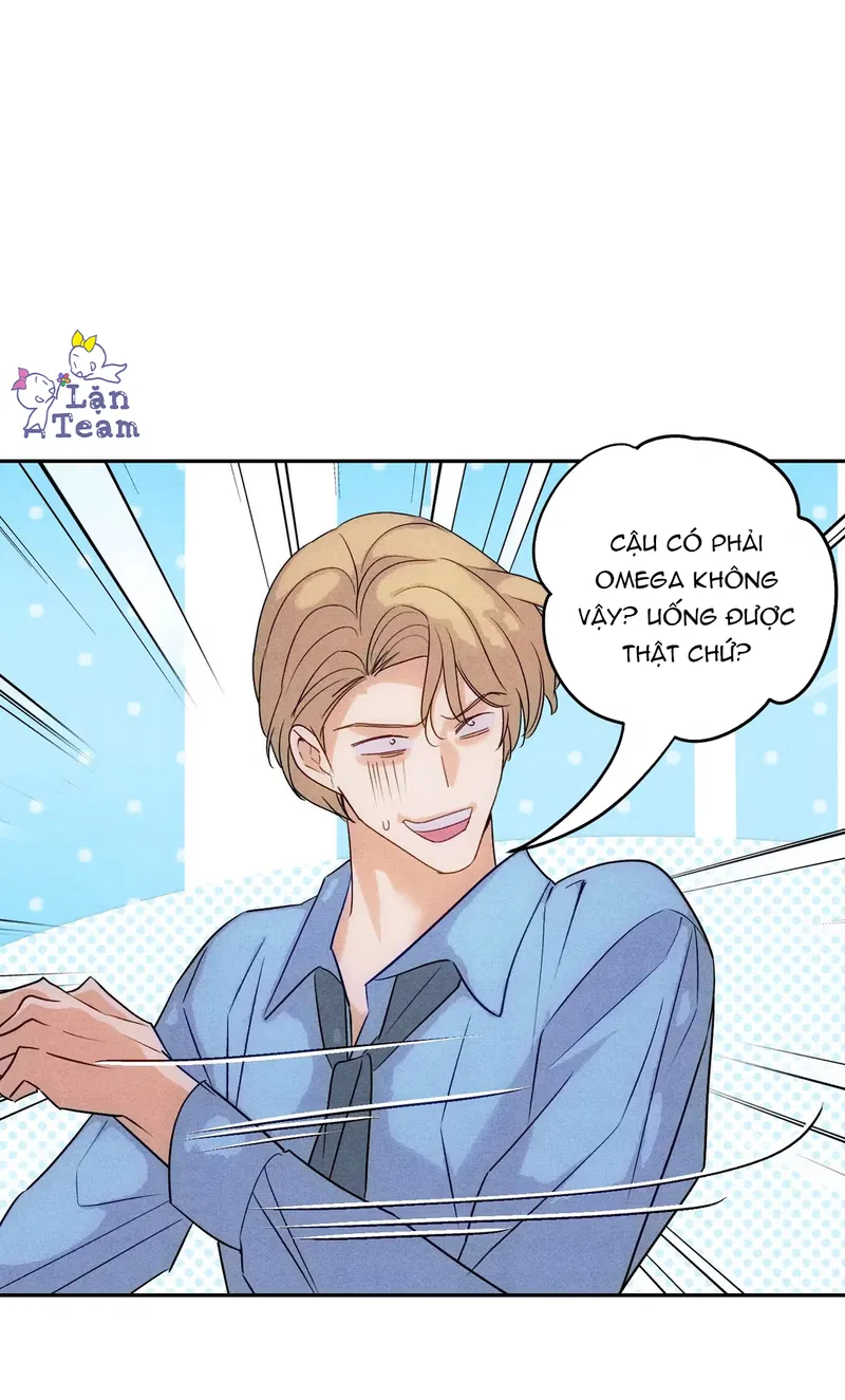 Xuyên Thành Sugar Baby Của Đại Ca Alpha Chapter 29 - Trang 2