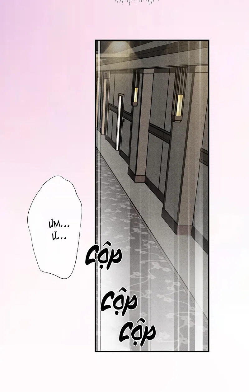 Xuyên Thành Sugar Baby Của Đại Ca Alpha Chapter 36 - Trang 2