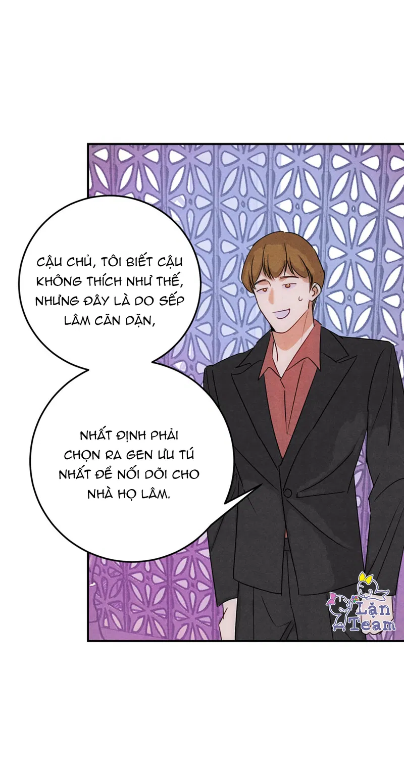 Xuyên Thành Sugar Baby Của Đại Ca Alpha Chapter 36 - Trang 2