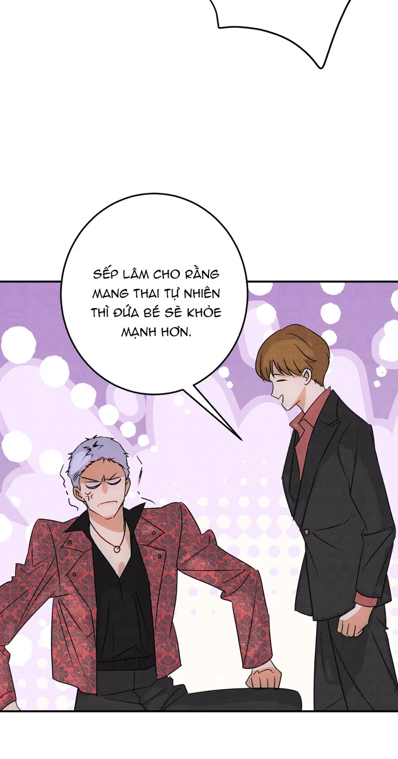 Xuyên Thành Sugar Baby Của Đại Ca Alpha Chapter 36 - Trang 2