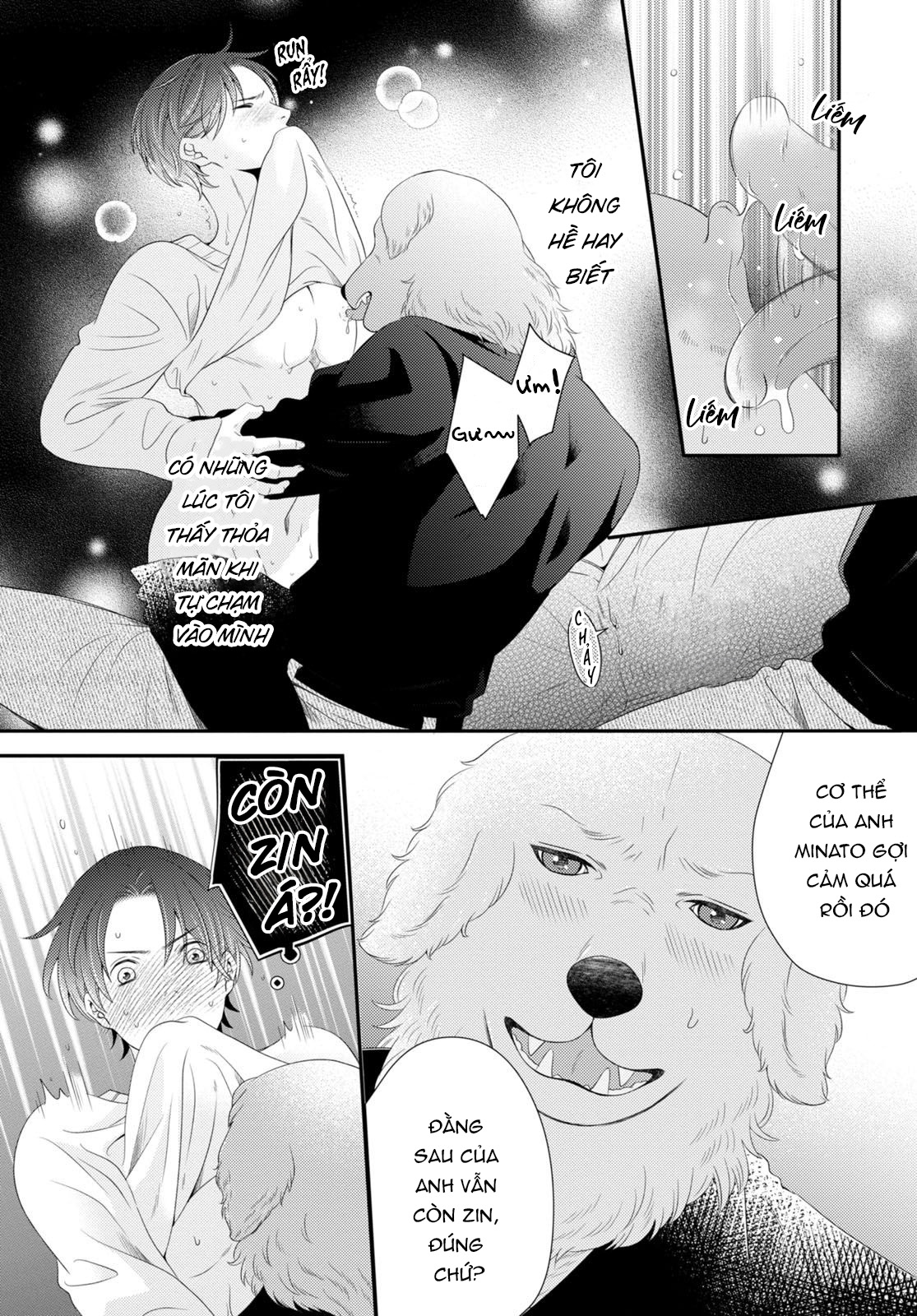 Cuộc Hôn Nhân Lý Tưởng: Tôi Được Mai Mối Với Một Chú Chó Chapter 6 - Trang 2